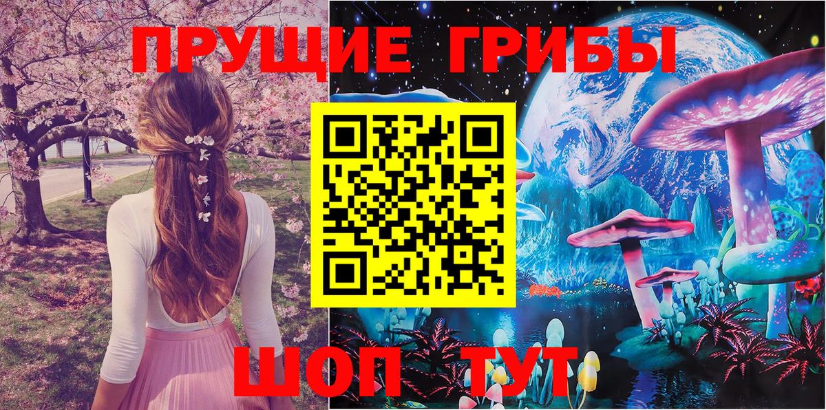 Псилоцибиновые грибы Psilocybine cubensis Новочебоксарск
